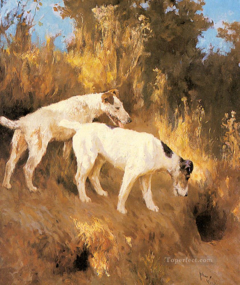Terriers sur le parfum animal Arthur Wardle Chien Peintures à l'huile